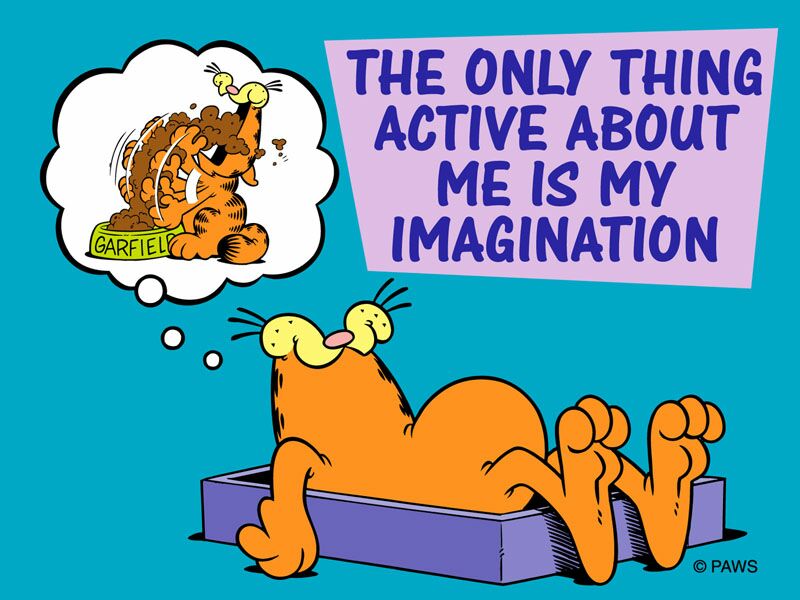 Imagination - Garfield Imagination - HD Wallpaper 