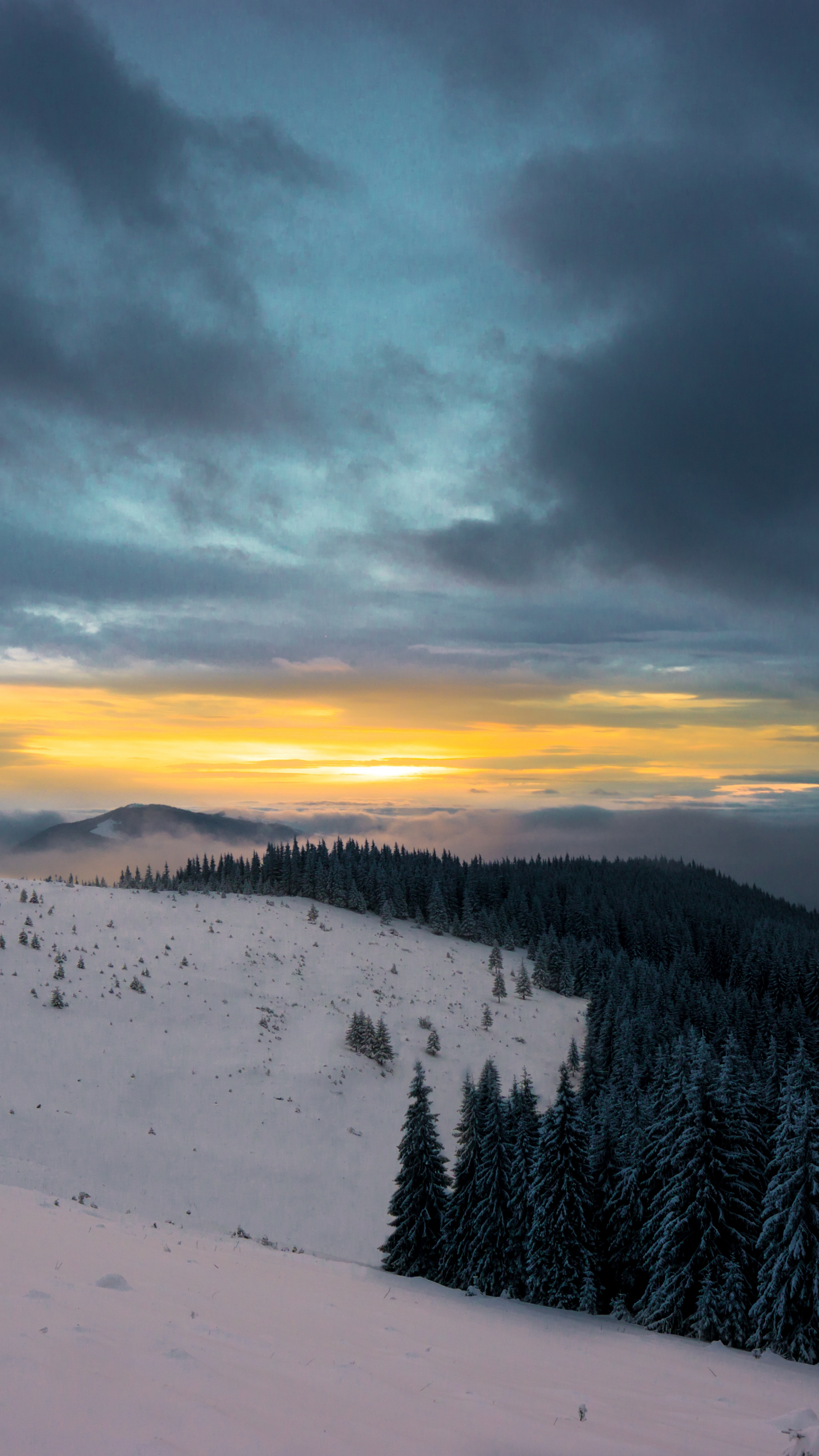 2160x3840 Wallpaper - HD Wallpaper 