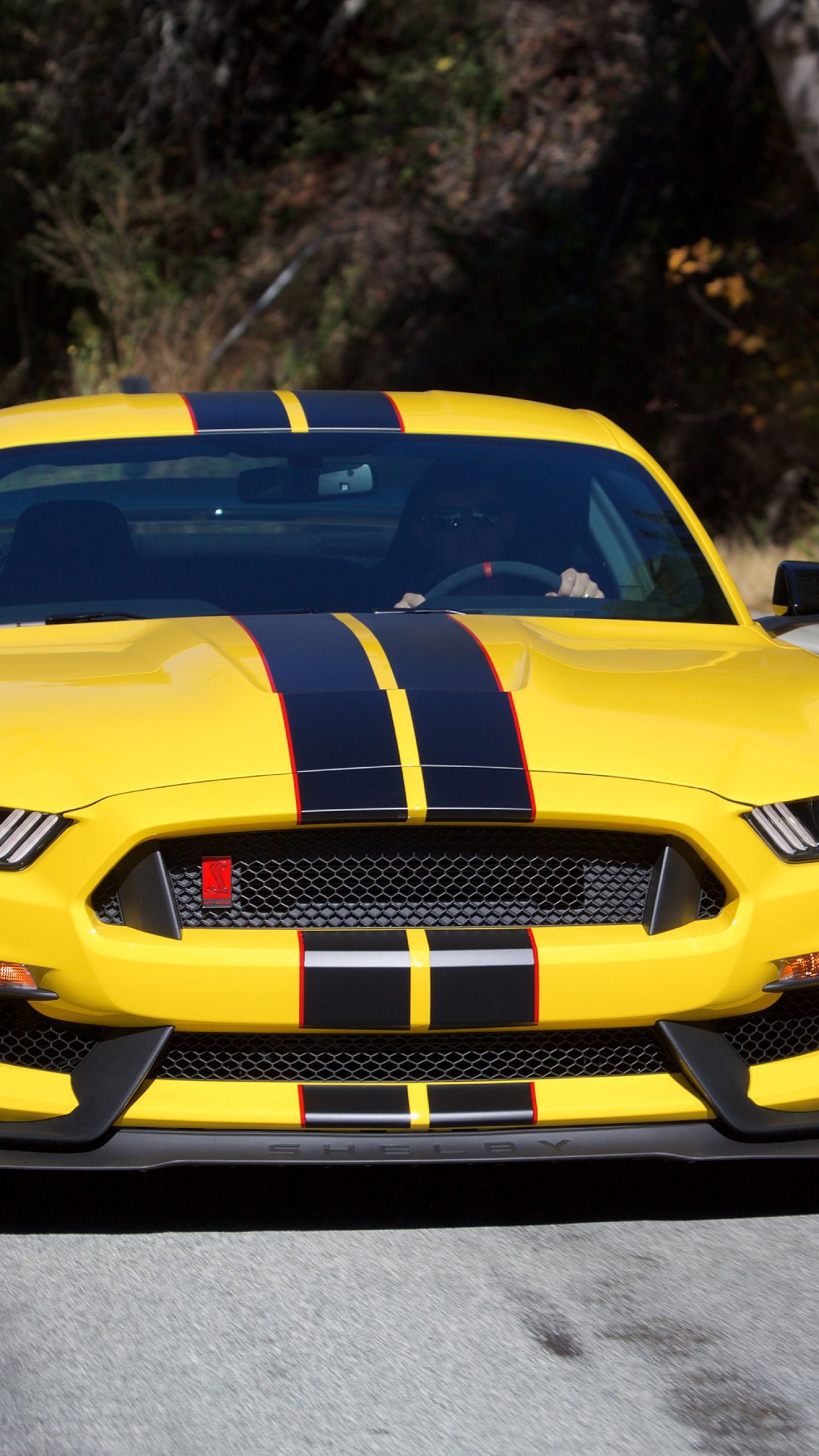 Ford Mustang Shelby Yellow - HD Wallpaper 