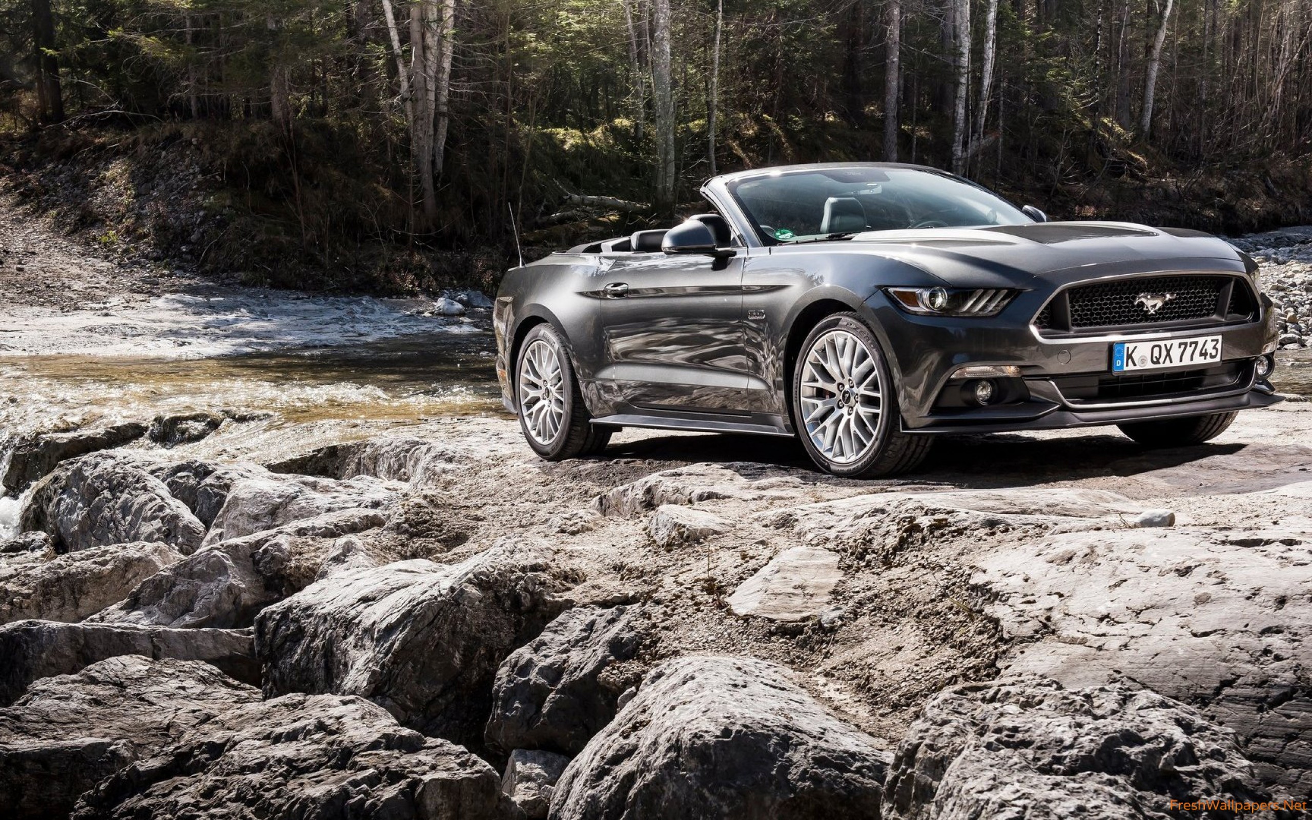 Mustang 2017 Wallpaper - HD Wallpaper 