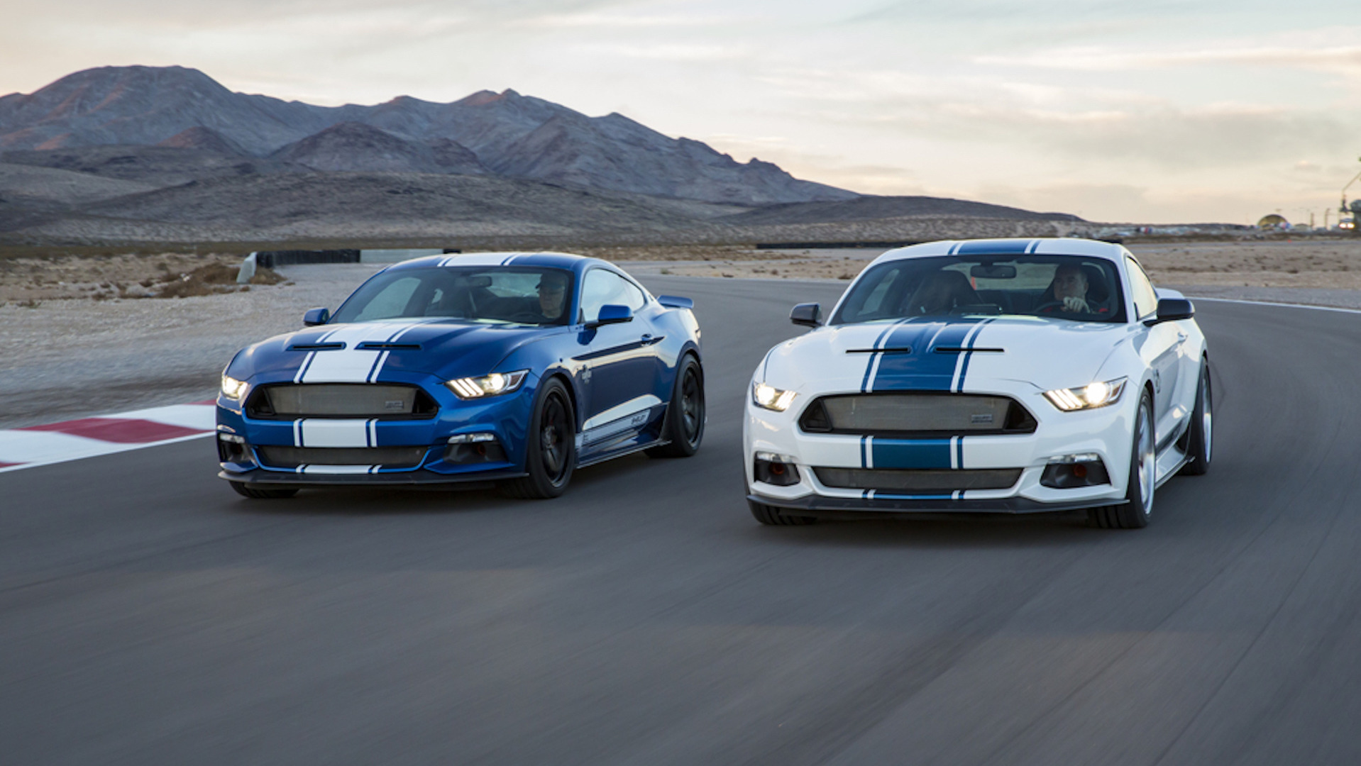 Shelby Super Snake - HD Wallpaper 