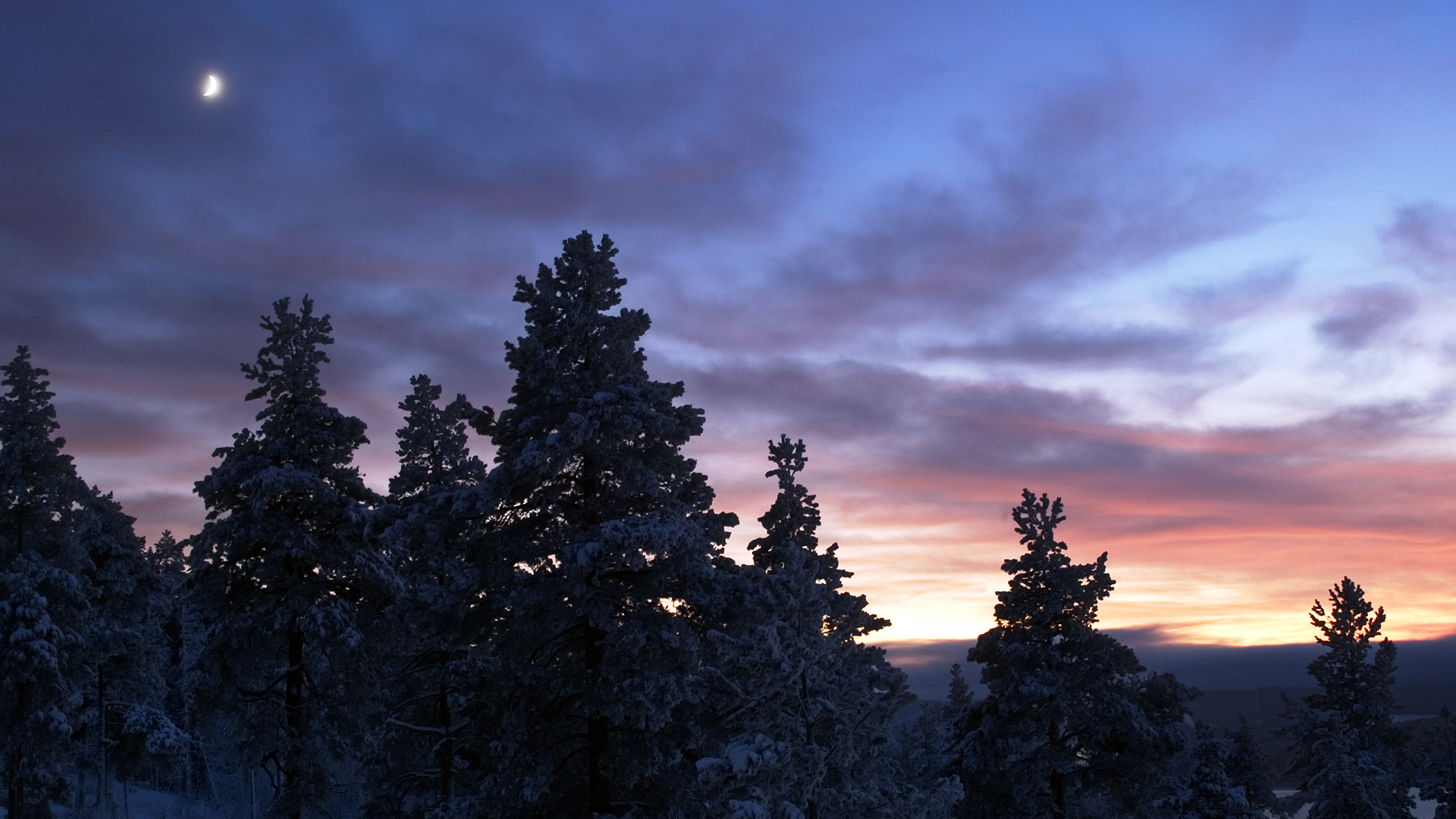 Winter Landscape Sweden Dark - HD Wallpaper 