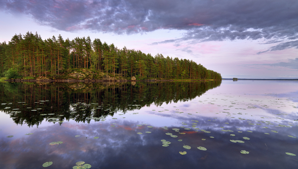 Sweden, Lake Teen, N Rke, Trees, Lake, Island, Forest, - Wallpaper - HD Wallpaper 