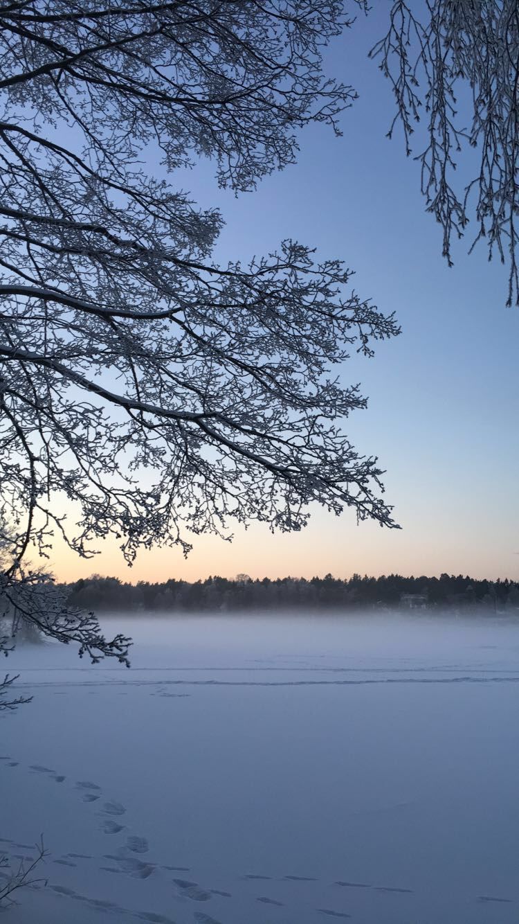 Snow - HD Wallpaper 