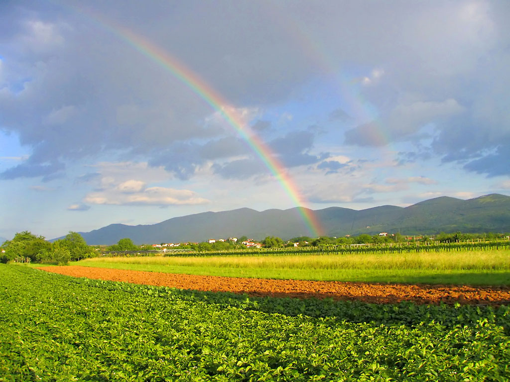 Rainbow Across A Crop Field - Crop Field With Rainbow - HD Wallpaper 