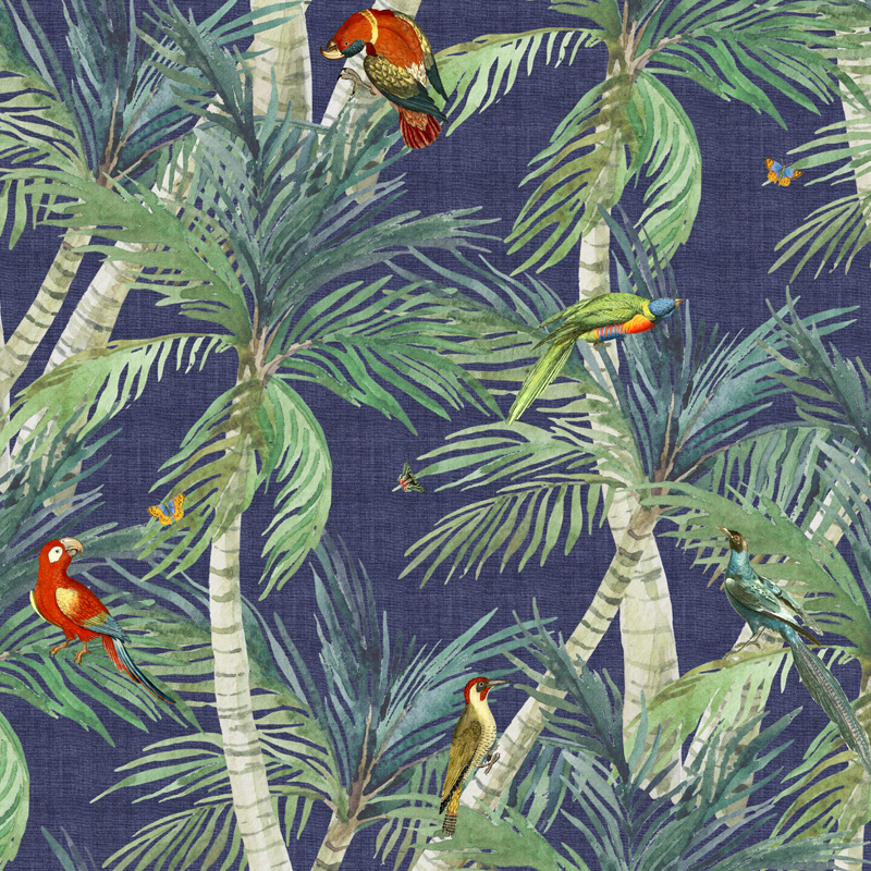 Macaw - HD Wallpaper 