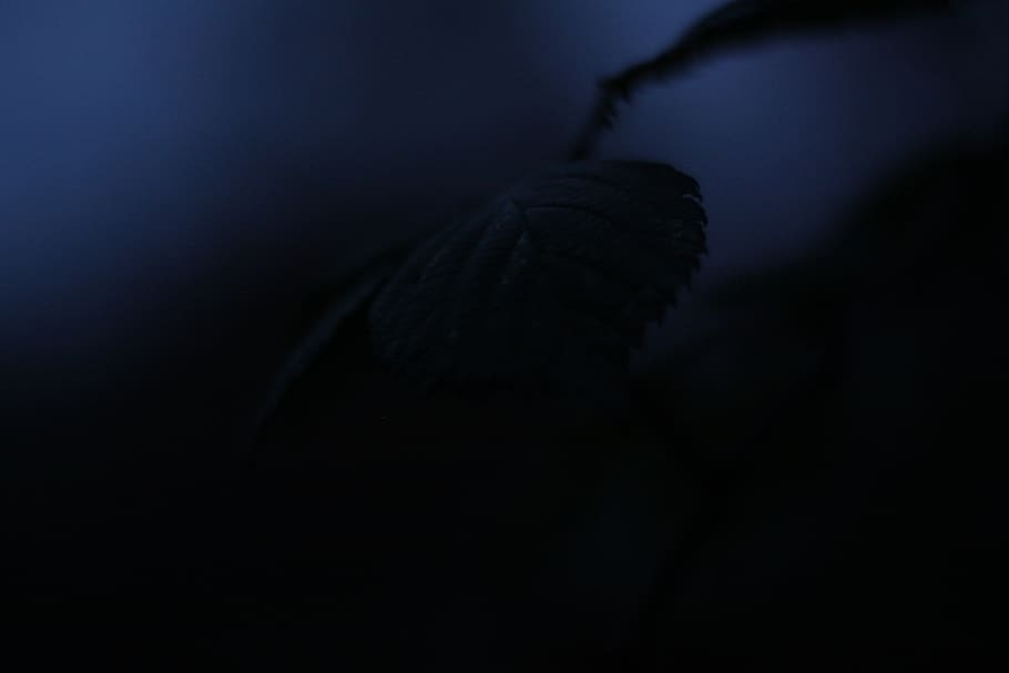 Dread, Angst, Dark, Darkness, Winter, Emo, Depressing, - Depressed Darkness - HD Wallpaper 