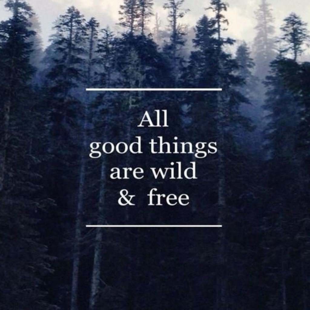 Emo Wallpapers For Android - HD Wallpaper 