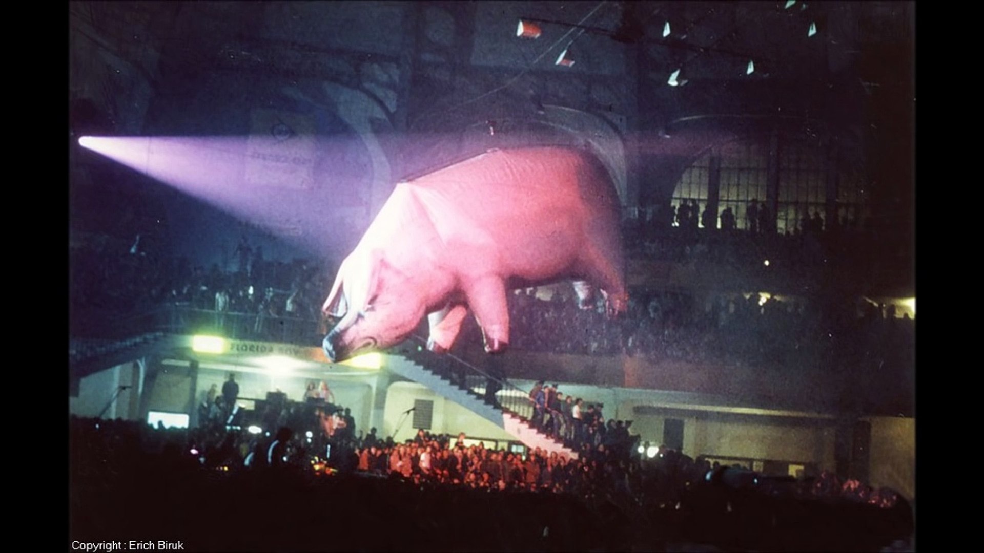 Pink Floyd Animals Live - HD Wallpaper 