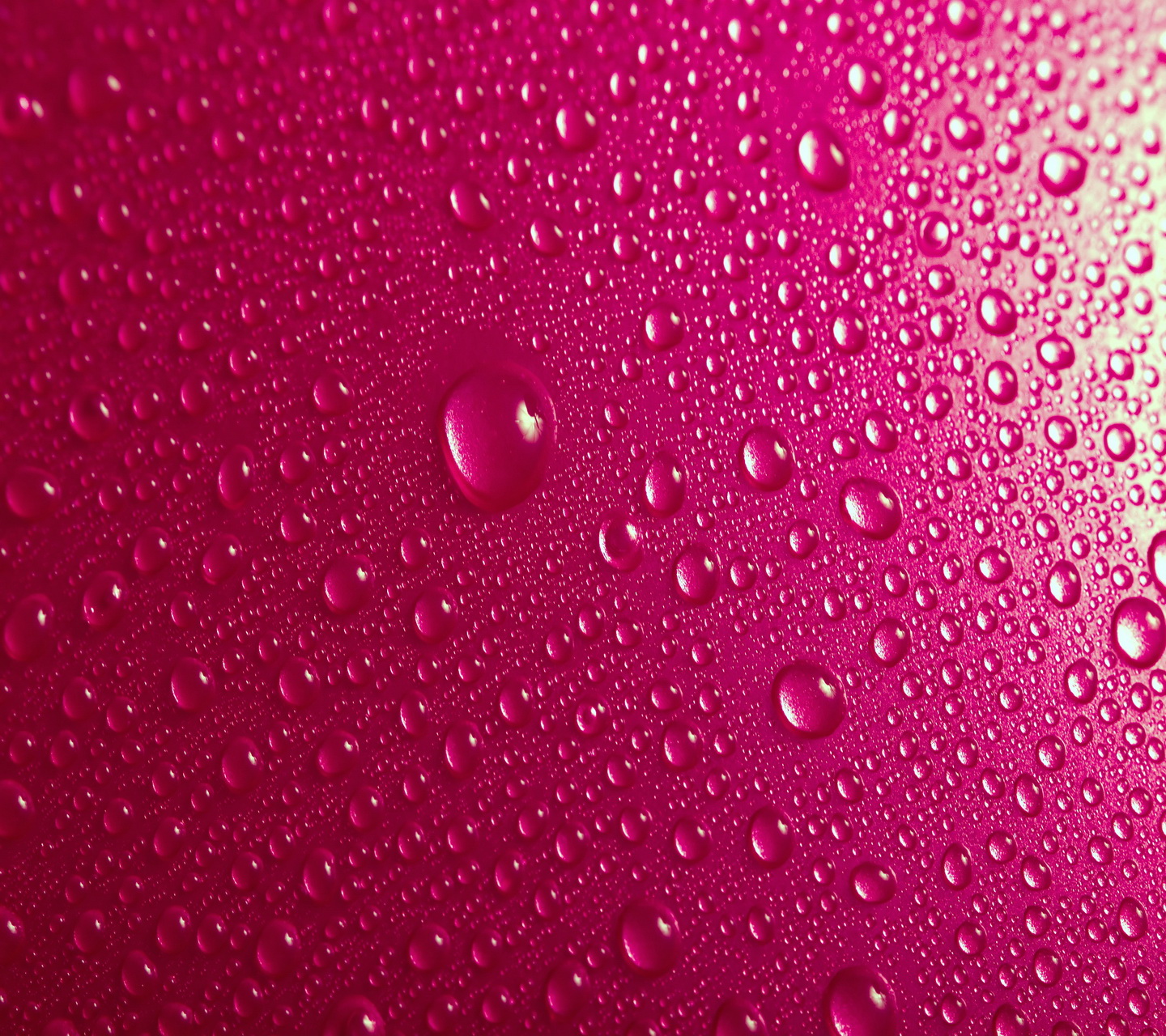 Pink Wallpapers Hd Android Apps On Google Play Pink Wallpaper Hd 1440x1280 Wallpaper Teahub Io Pink Wallpapers Hd Android Apps On Google Play Pink Wallpaper Hd 1440x1280 Wallpaper Teahub Io