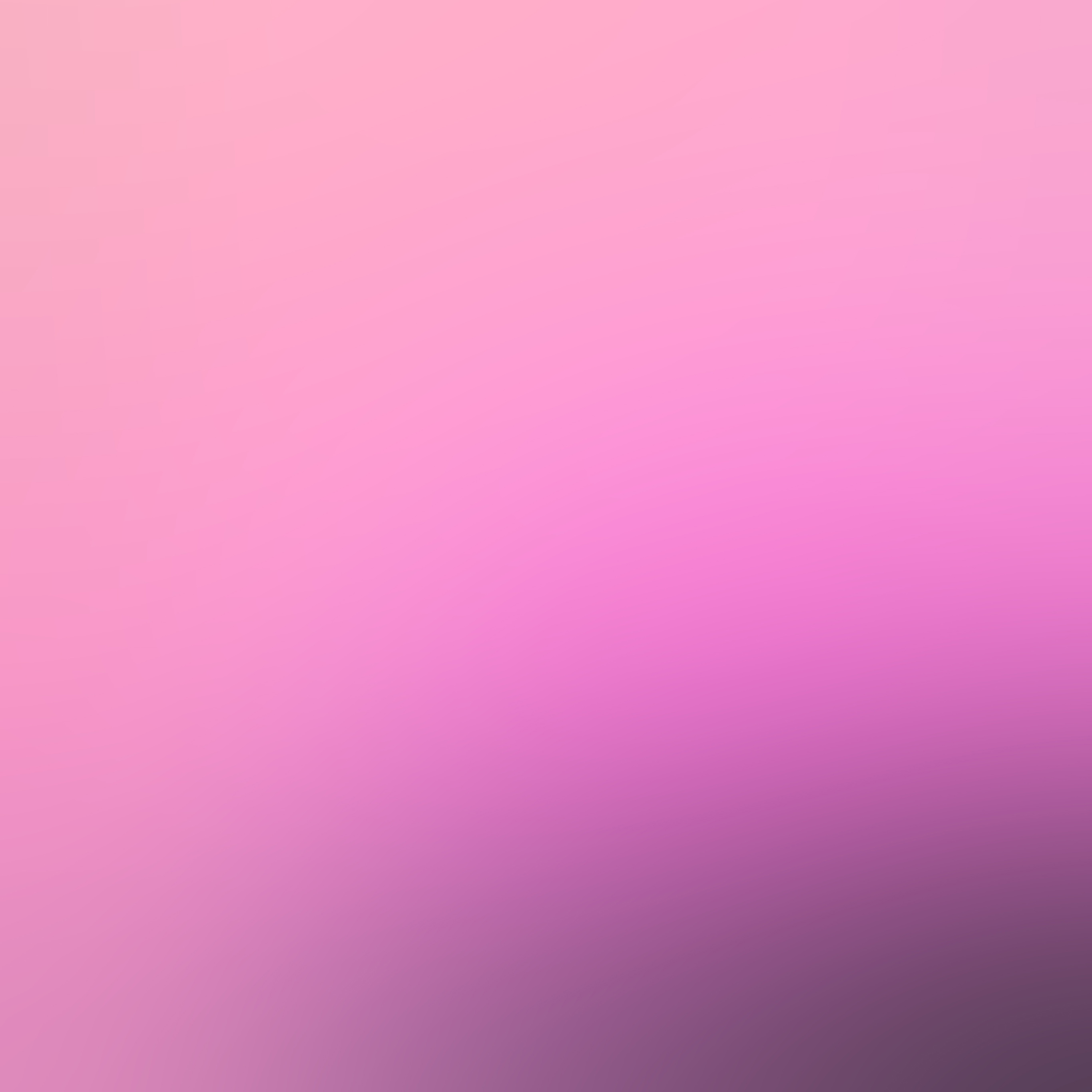 Lilac - HD Wallpaper 