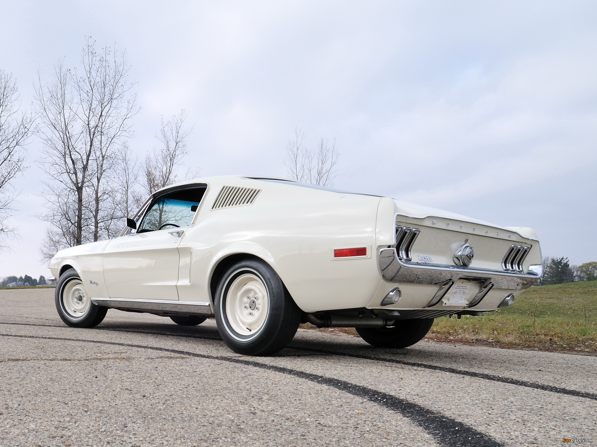 Mustang Lightweight 428/335 Hp Tasca Car 1967 Wallpapers - Muscle Car - HD Wallpaper 