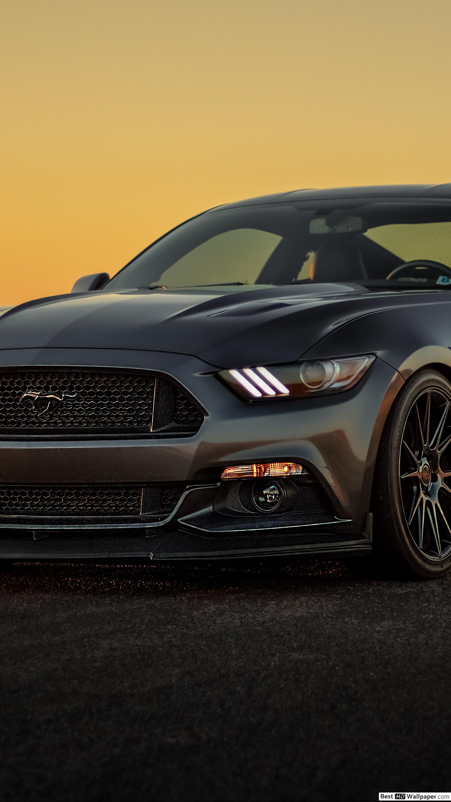 Ford Mustang Hd - HD Wallpaper 