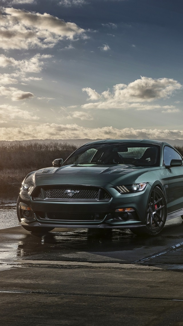 Ford Mustang Gt Wallpaper Phone - HD Wallpaper 