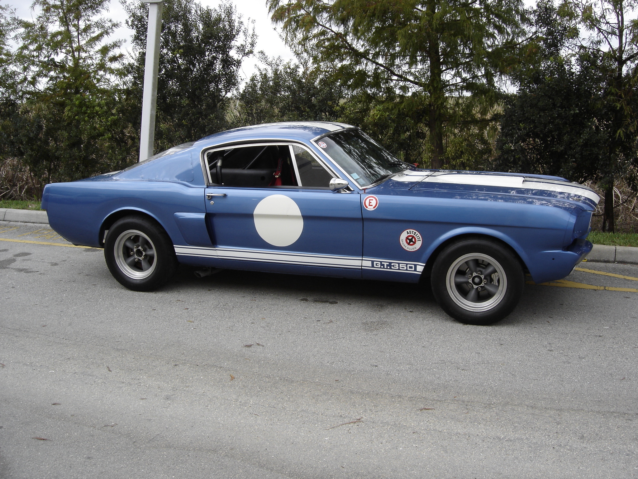 Mustang Shelby 350r 1966 - HD Wallpaper 