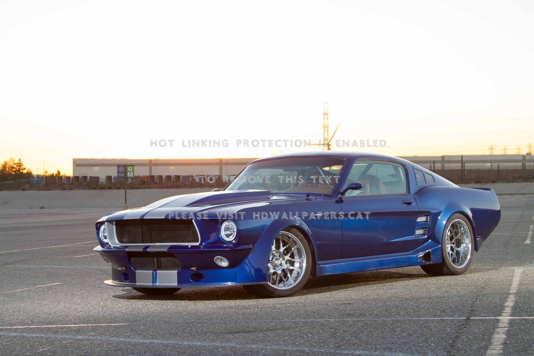 1967 Ford Mustang Fastback Blue Roll Cage - Pony Car - HD Wallpaper 