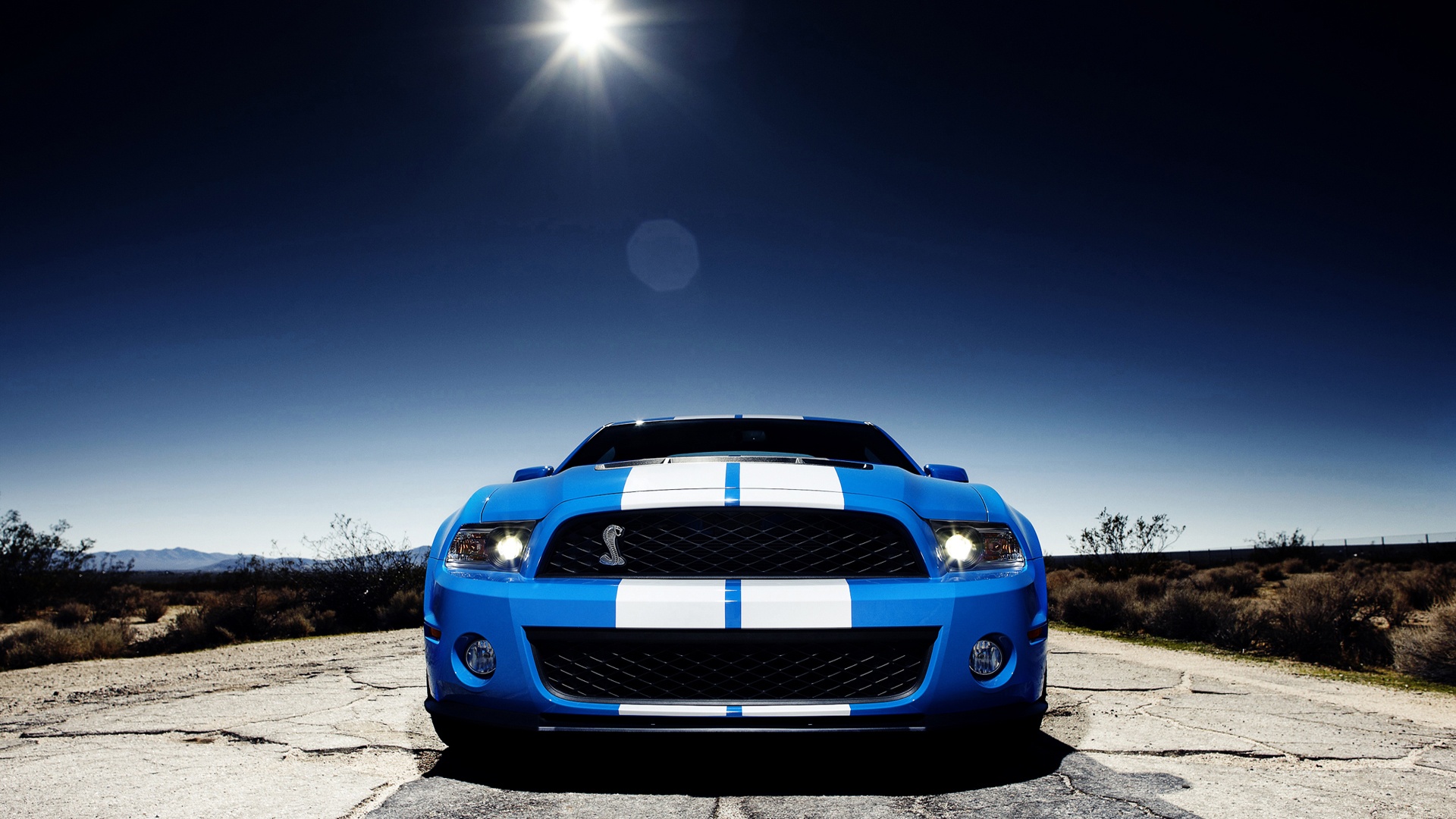 Shelby Gt 500 2010 - HD Wallpaper 