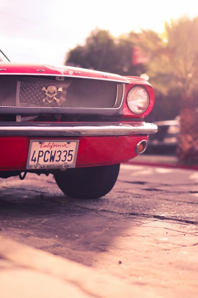 Ford Mustang Hd Wallpapers Mobile - HD Wallpaper 