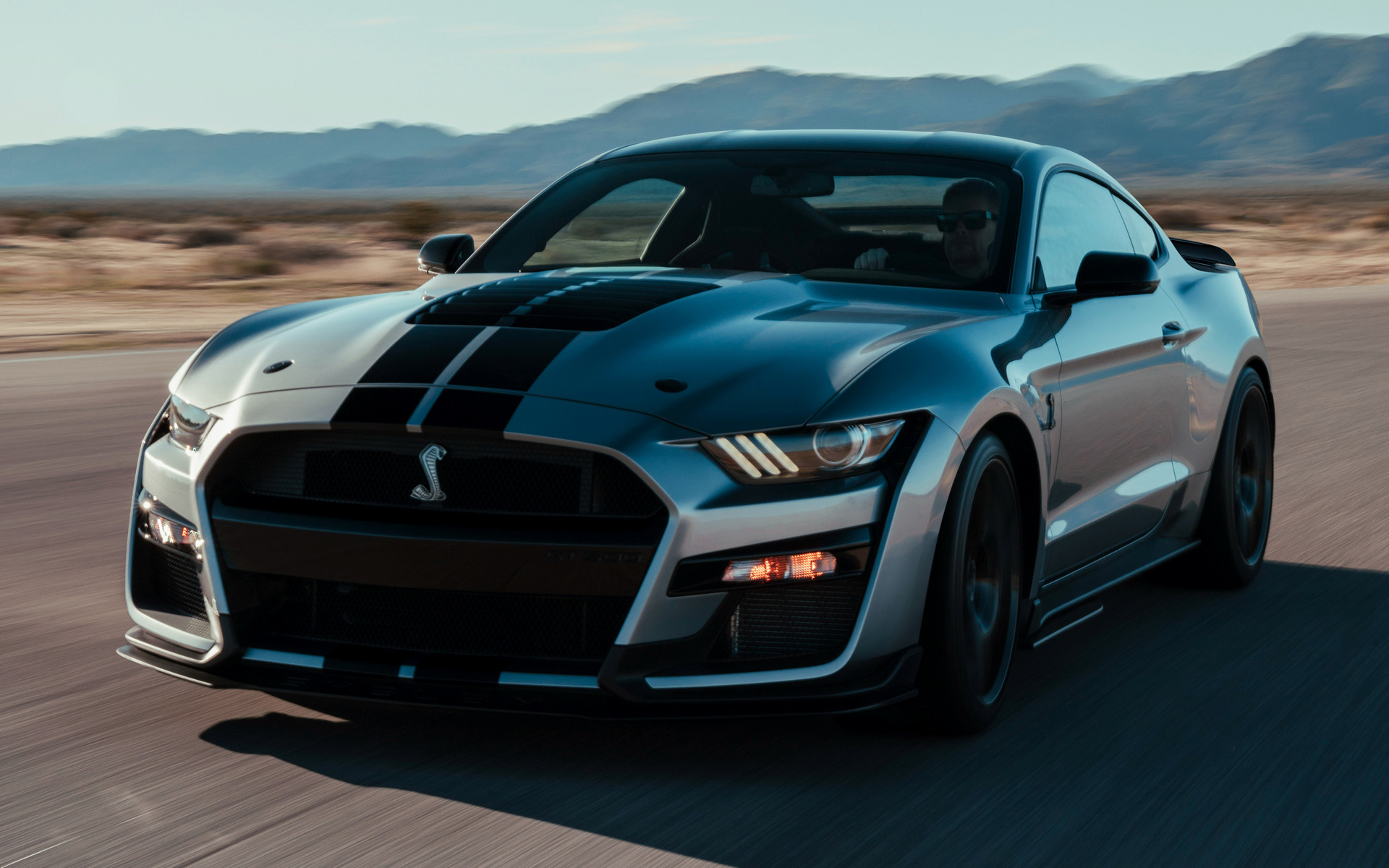 Ford Mustang Shelby Gt 500 - HD Wallpaper 