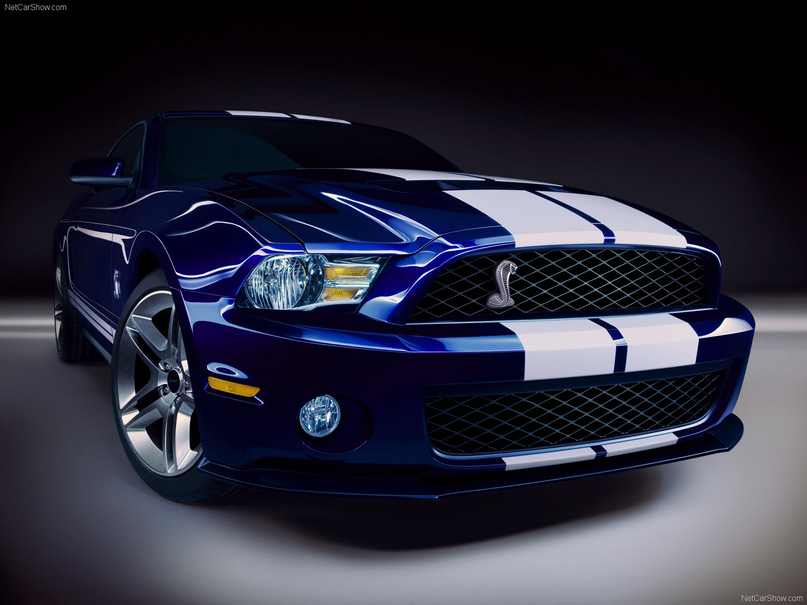Ford Mustang Shelby Gt500 - Ford Mustang Shelby Gt 500 - HD Wallpaper 