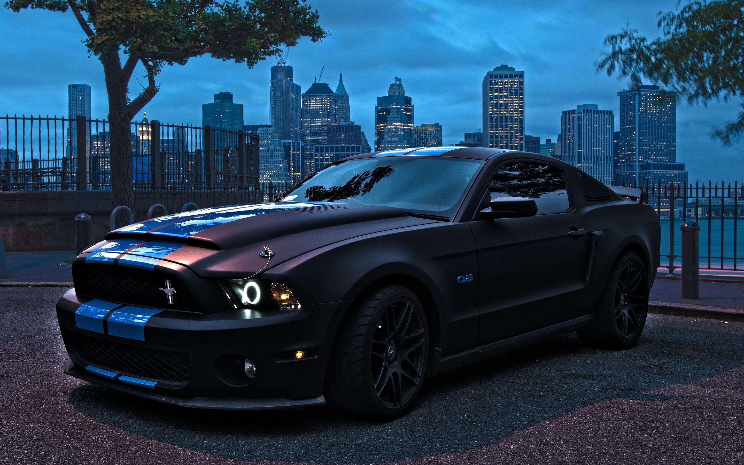 Ford Mustang Wallpapers And Screensavers - HD Wallpaper 