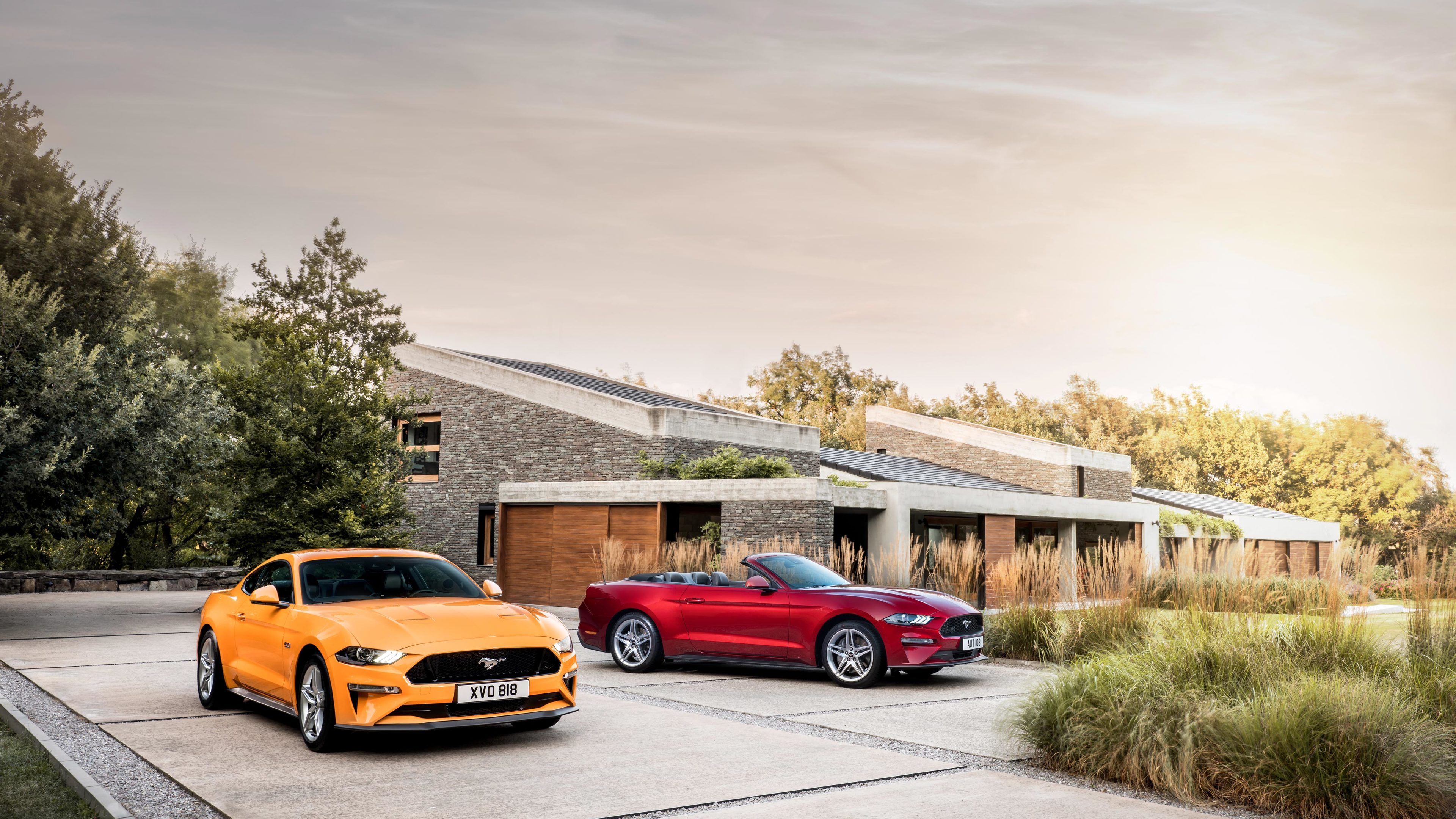 Ford Mustang Gt Fastback And Ecoboost Convertible - Mustang Convertible - HD Wallpaper 