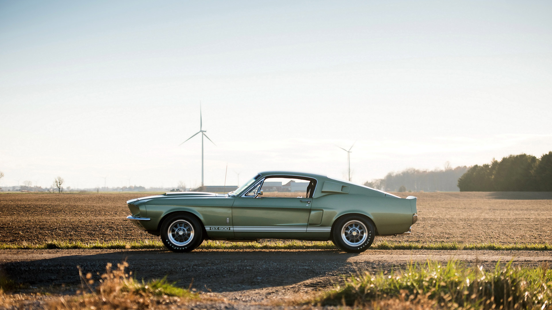 Ford Mustang Shelby Cobra 1965 1920x1080 Wallpaper Teahub Io