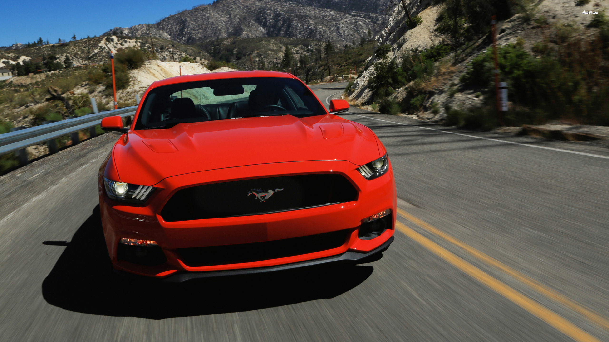 Ford Mustang - HD Wallpaper 