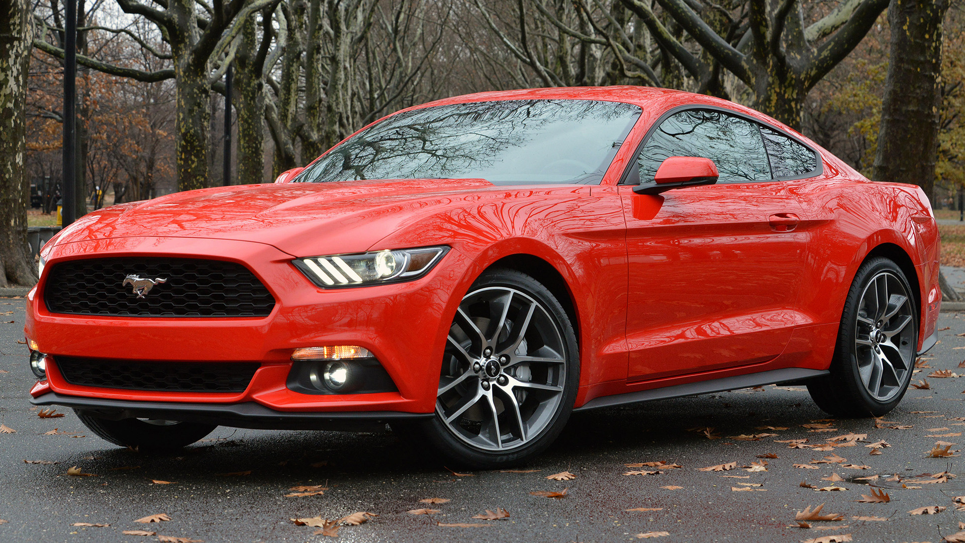 2015 Ford Mustang 2d Coupe - HD Wallpaper 