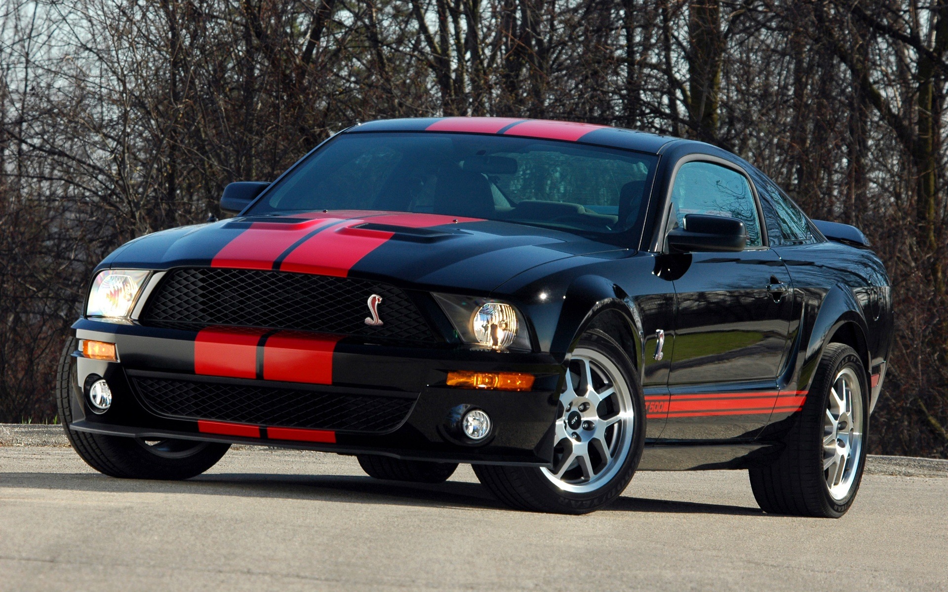 Shelby Mustang Black And Red 1920x1200 Wallpaper Teahub Io