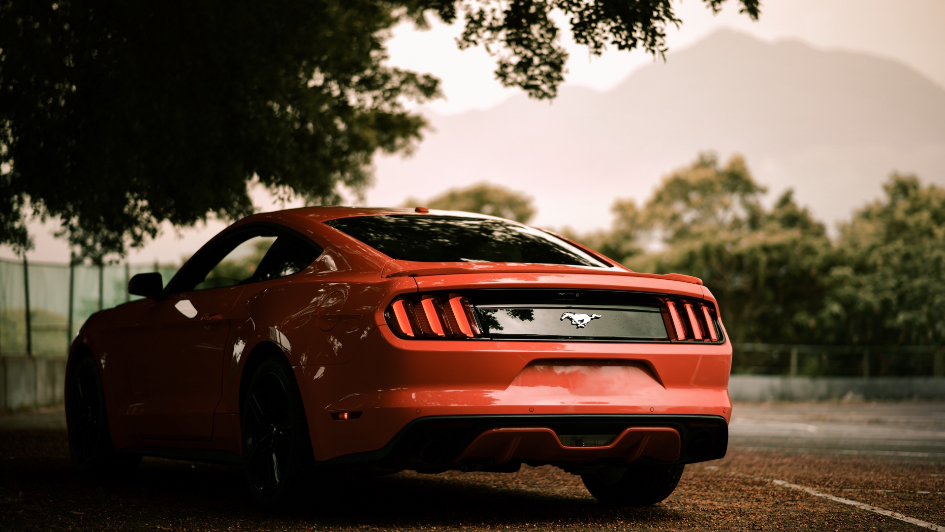 Wallpaper Ford Mustang, Ford, Car, Red, Rear View, - Rear Ford Mustang Wallpaper 4k - HD Wallpaper 