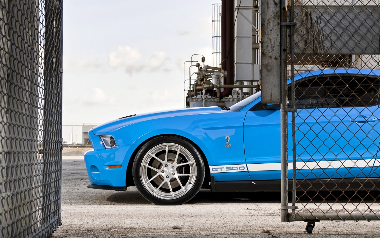 Blue Ford Mustang Shelby Gt500 Wallpapers - Mustang Photos For Youtube Channel - HD Wallpaper 