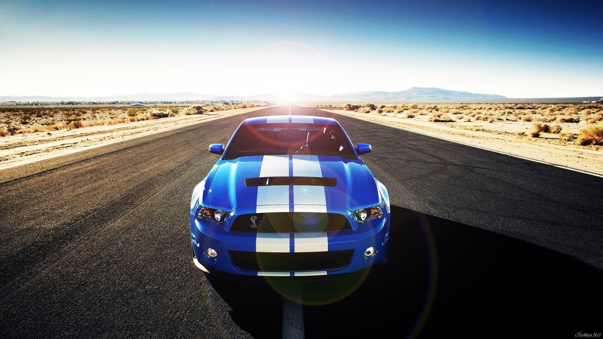 High Resolution Wallpapers Mustang Wallpaper, Bowie - Ford Mustang Shelby Gt 500 Wüste - HD Wallpaper 