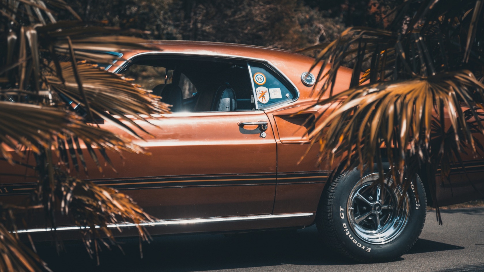 Mustang 1969 Ekran Resmi - HD Wallpaper 