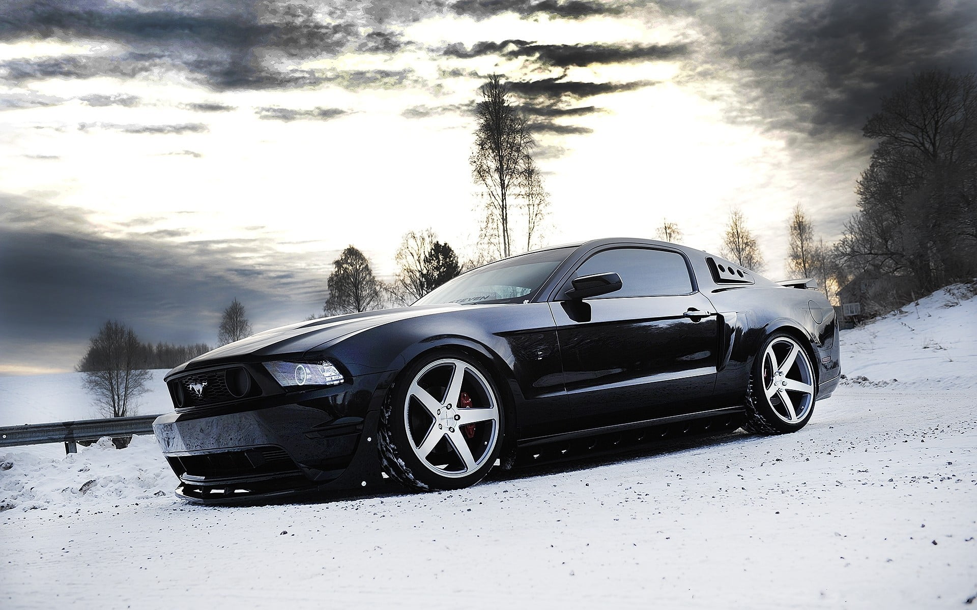 Black Mustang In Snow - HD Wallpaper 