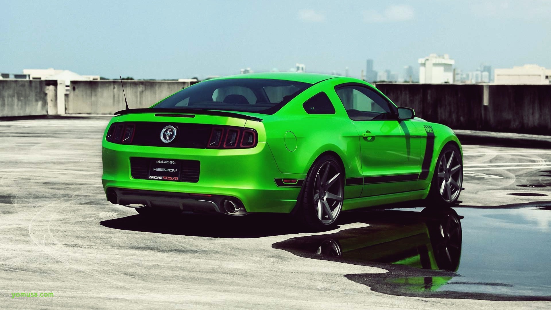 Ford Mustang Hd Wallpapers 1080p - Shelby Mustang - HD Wallpaper 