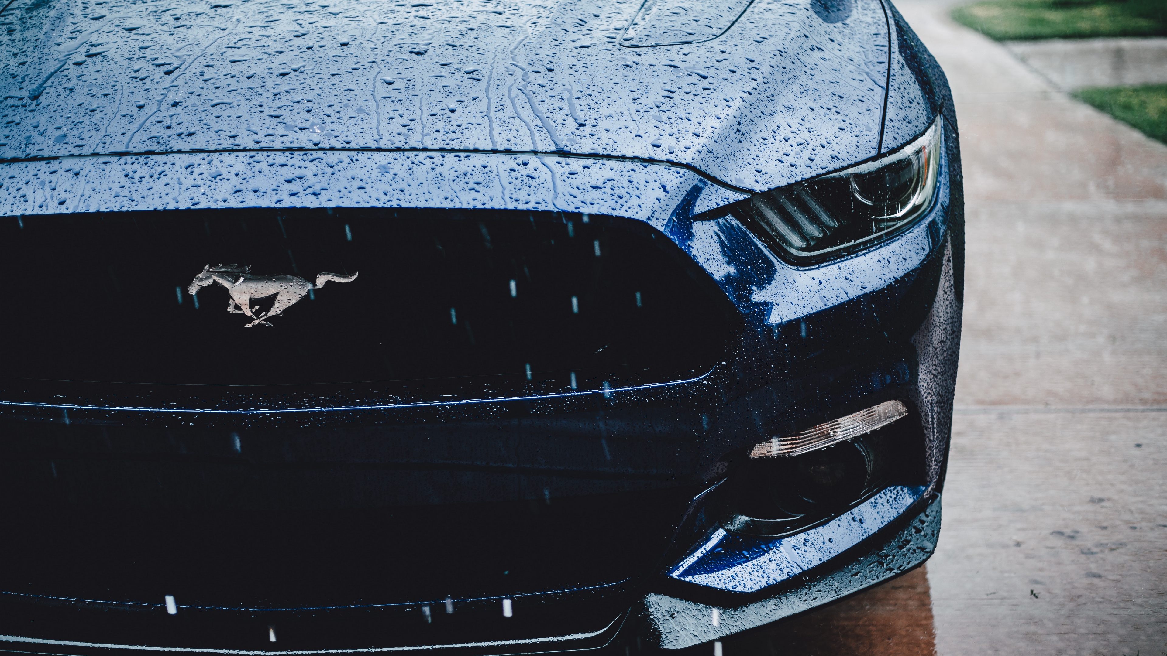 Ford Mustang Headlight Front View Rain 4k - Ford Mustang Wallpaper Hd - HD Wallpaper 