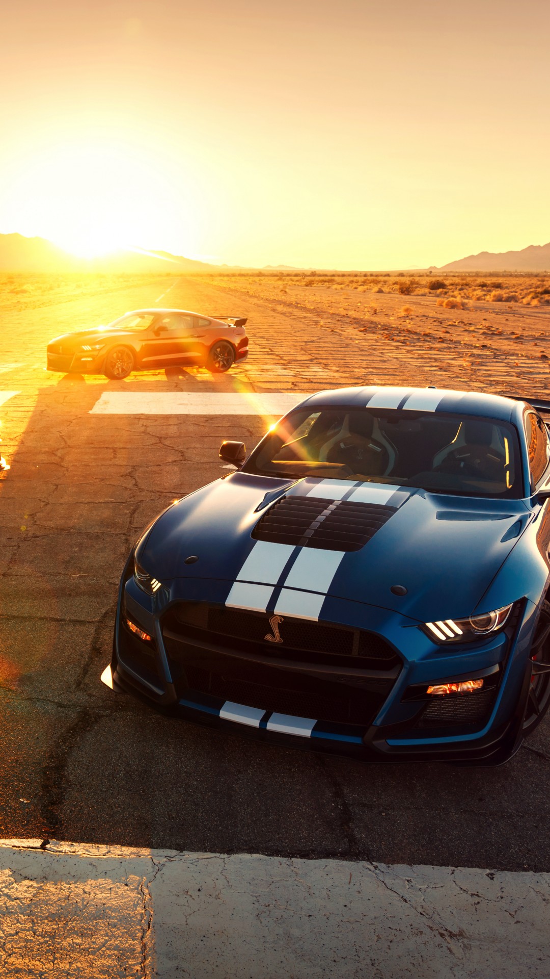 2019 Ford Mustang Shelby Gt500 - HD Wallpaper 