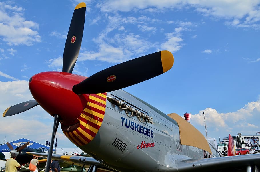 P-51, Mustang, Mustang, Fighter, Tuskegee, Plane, Military, - North American P-51 Mustang - HD Wallpaper 