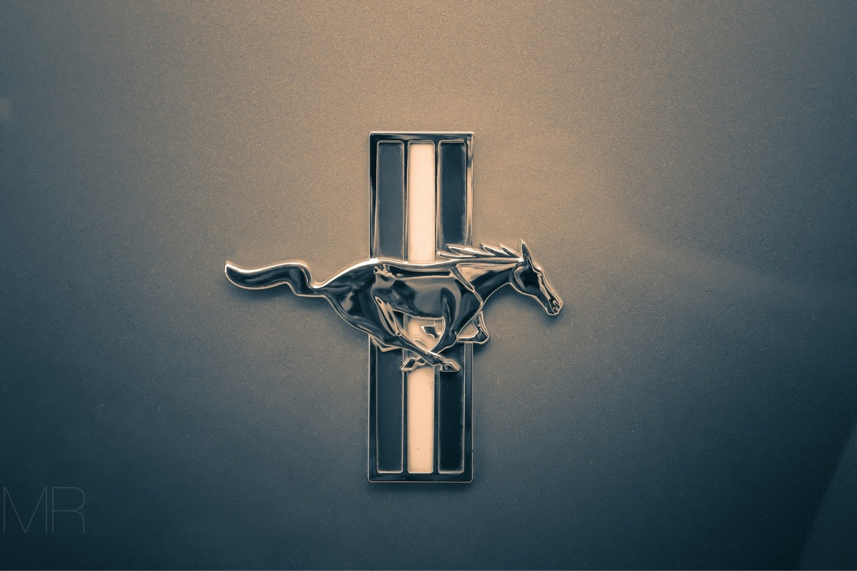 Emblem - HD Wallpaper 