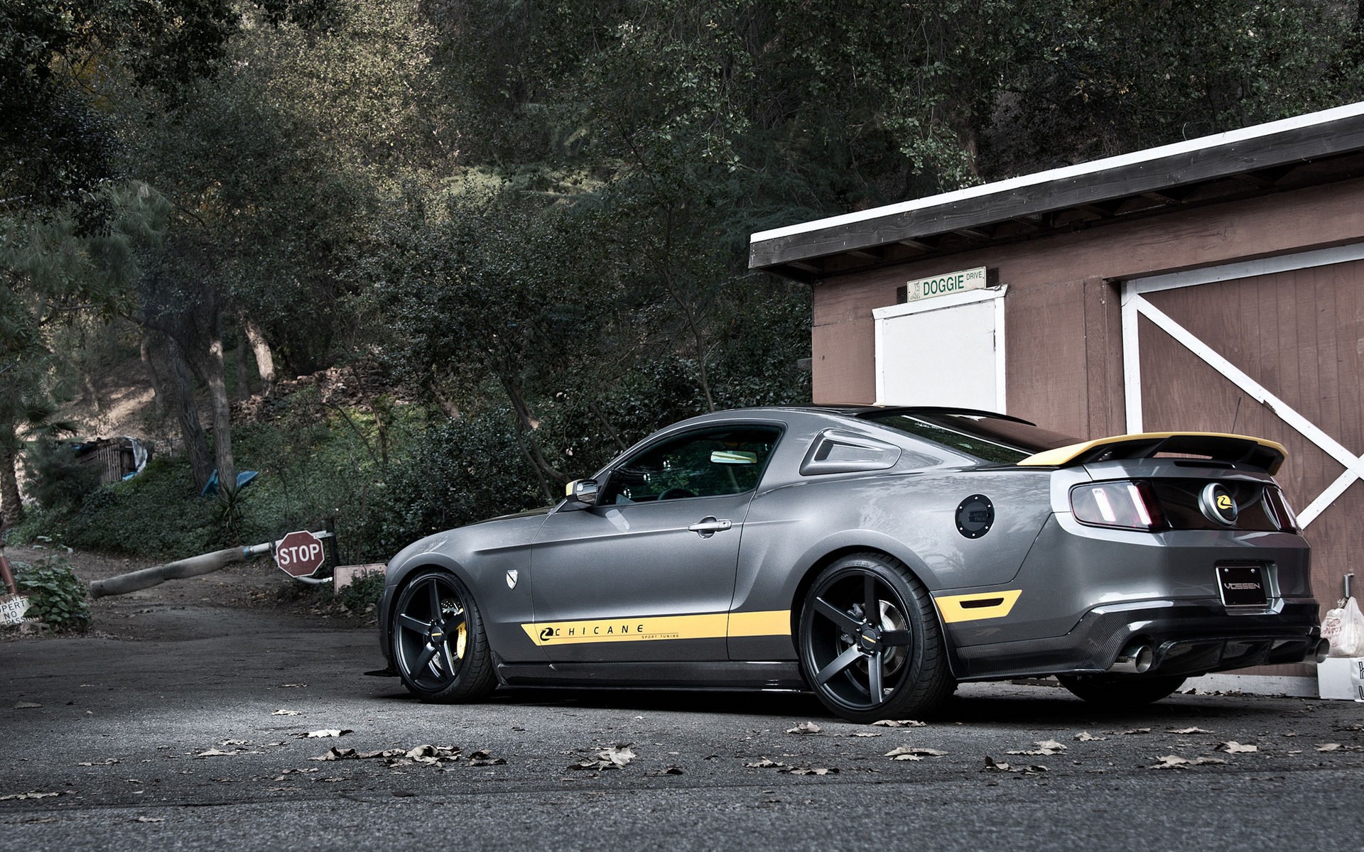 Ford Mustang Gt Widescreen Wallpaper - HD Wallpaper 