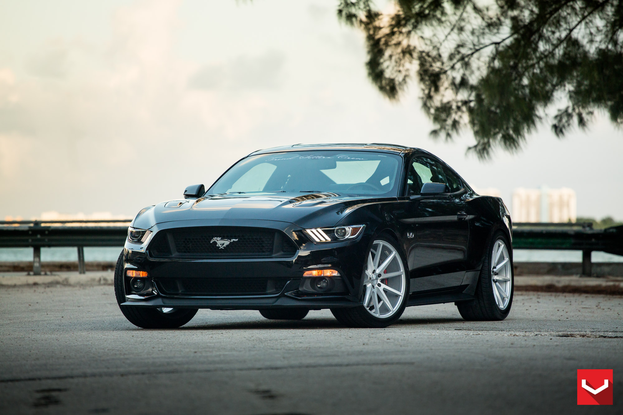 Mustang Gt 5.0 Wallpaper Hd - HD Wallpaper 