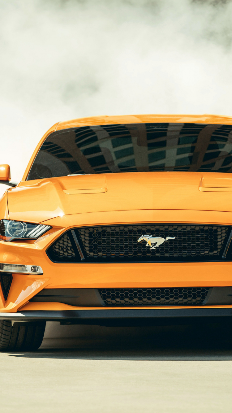 Mustang Gt Front View - HD Wallpaper 