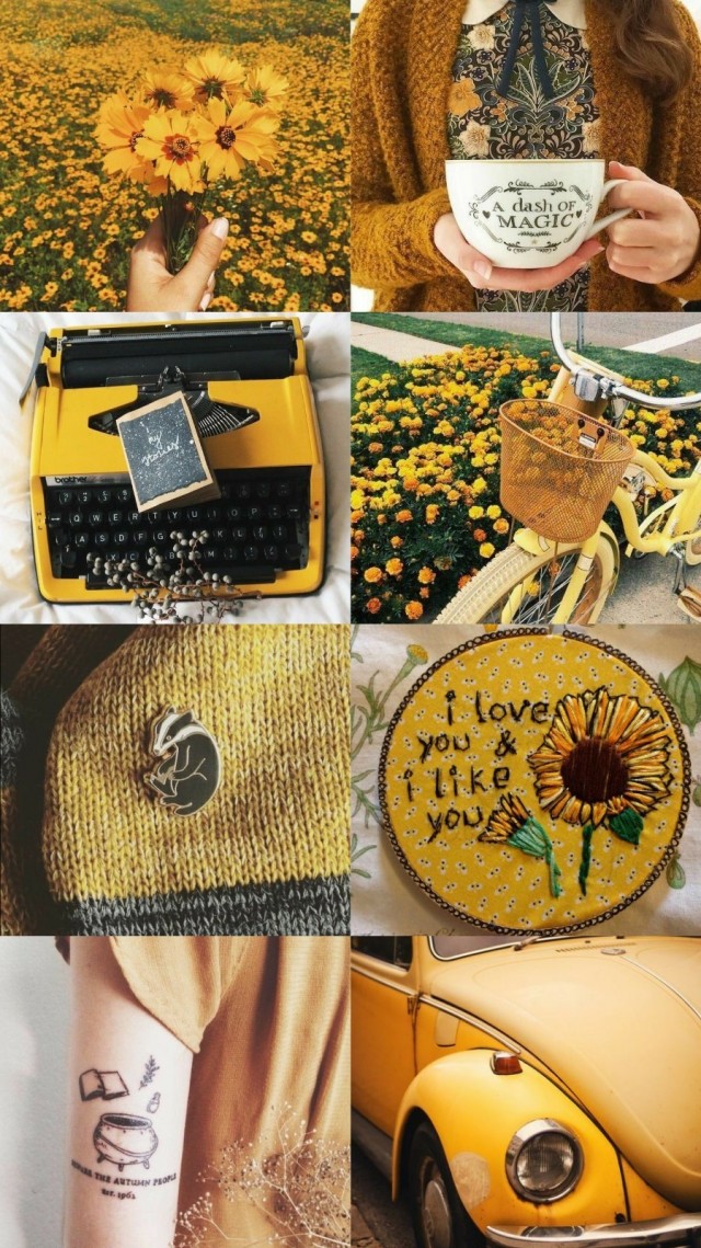 28 284884 Vintage Hufflepuff Aesthetic Aesthetic Cute - Hufflepuff Aesthetic - HD Wallpaper 