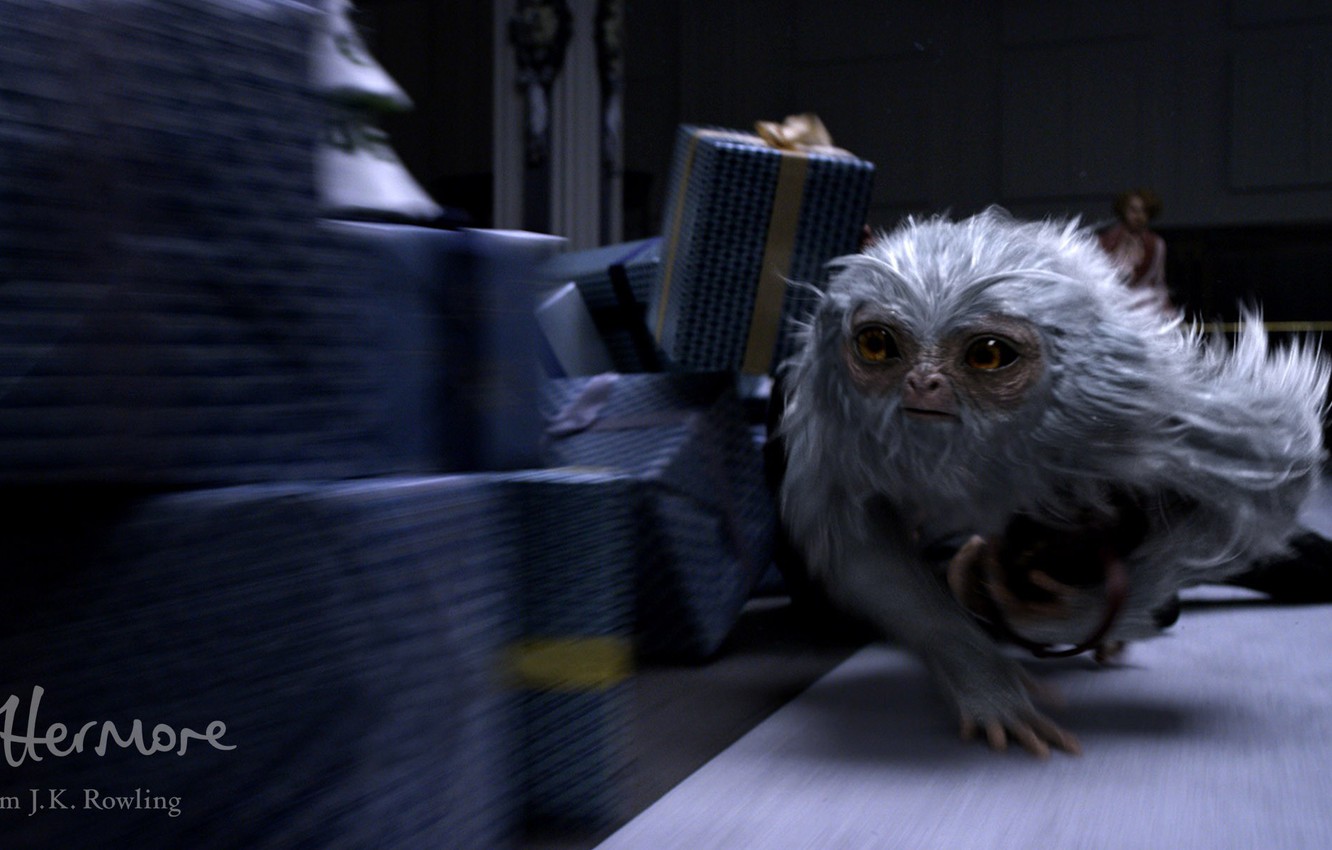 Photo Wallpaper City, Wallpaper, Fantasy, Magic, Woman, - Fantastic Beasts White Animal - HD Wallpaper 
