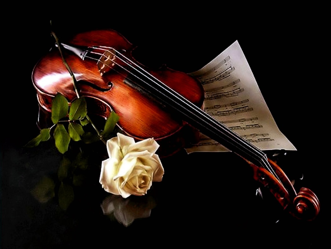 Picture - Beautiful Violin With Rose - HD Wallpaper 