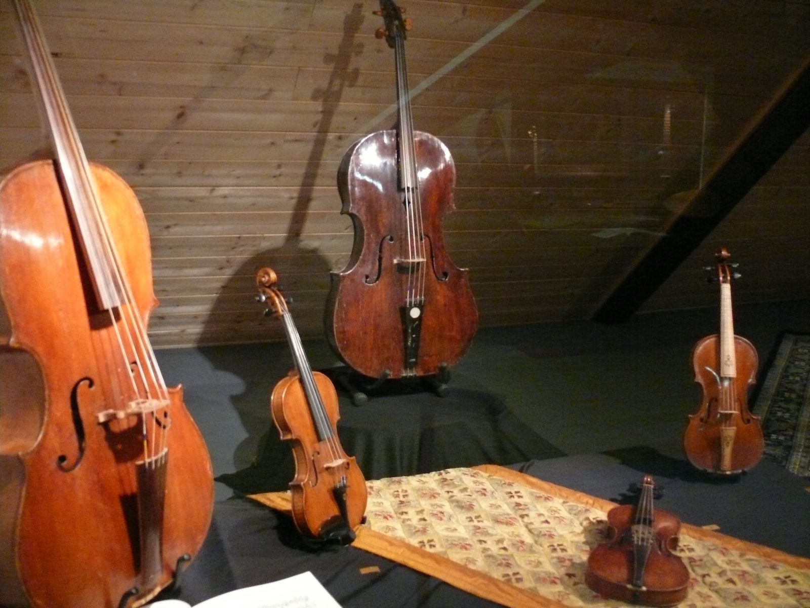 Viola - HD Wallpaper 