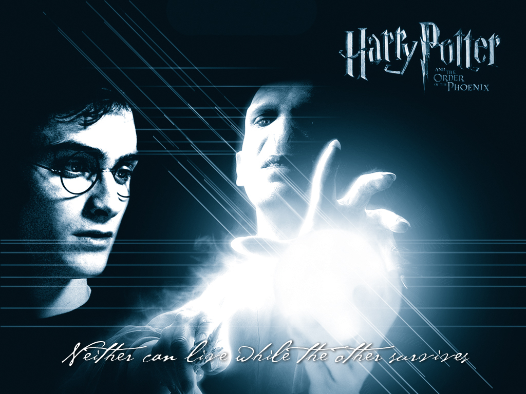 Harry Potter And Lord Voldemort - Harry Potter And The Order - HD Wallpaper 