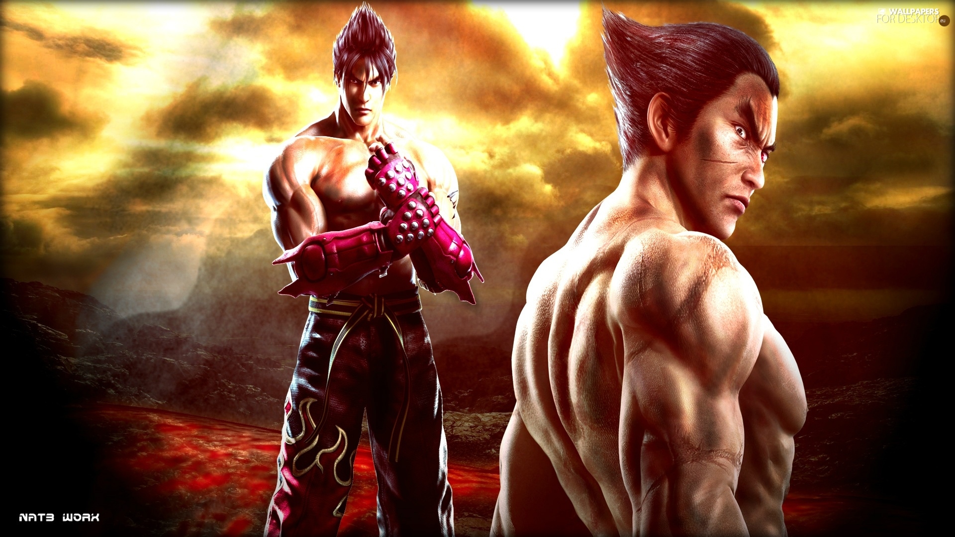 Tekken Tag Tournament Jin Kazama Wallpaper - Tag Tournament Wallpapers Hd Hd Pic Tekken Tag 2 - HD Wallpaper 