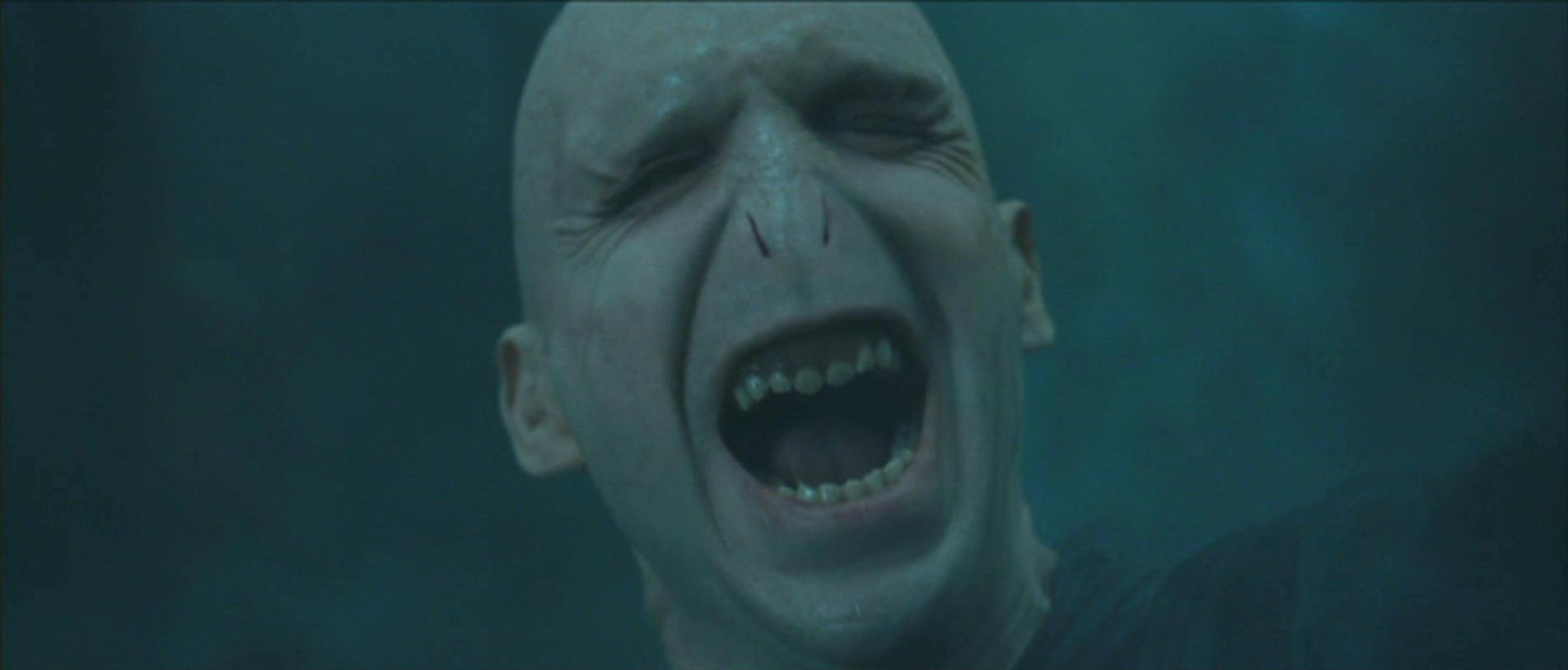 Lord Voldemort Lord Voldemort 24011691 1904 814 - Harry Potter - HD Wallpaper 